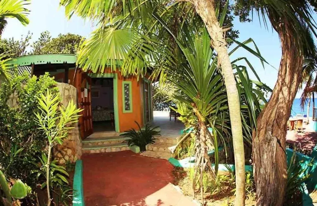 Clifftop Haven - Oceanfront Stay With Pool Camp Dining Negril Apartman